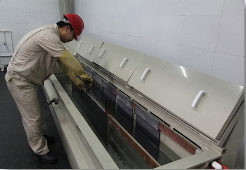 Anodized surface inspection of hot rolled plates